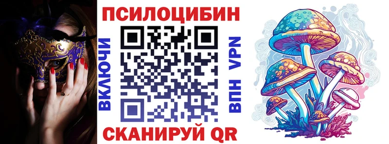 Псилоцибиновые грибы мицелий  Купить закладки  Борзя 